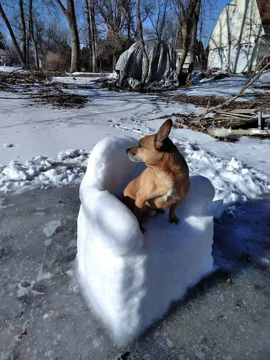 South St Veterinary Services Picture 3