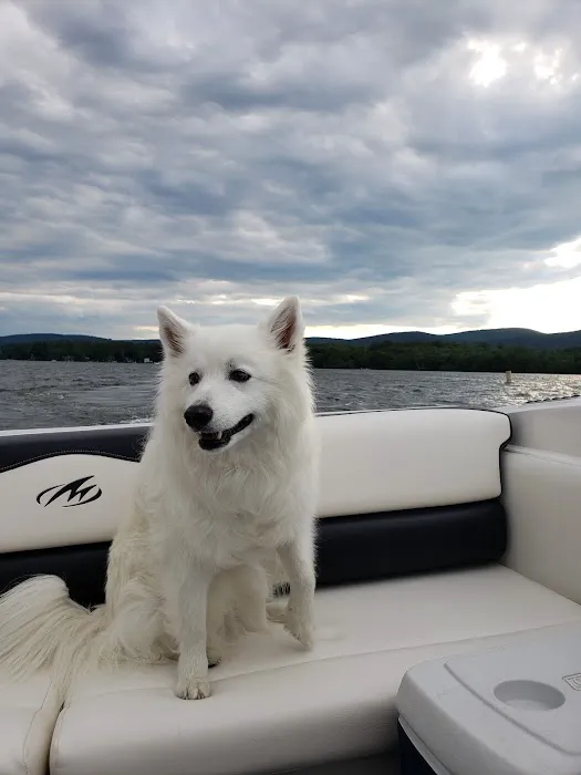 South St Veterinary Services Picture 10