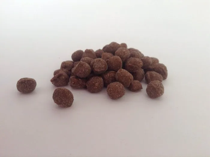 Cricket Kitchen Picture 6