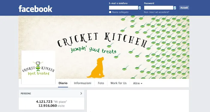 Cricket Kitchen Picture 9