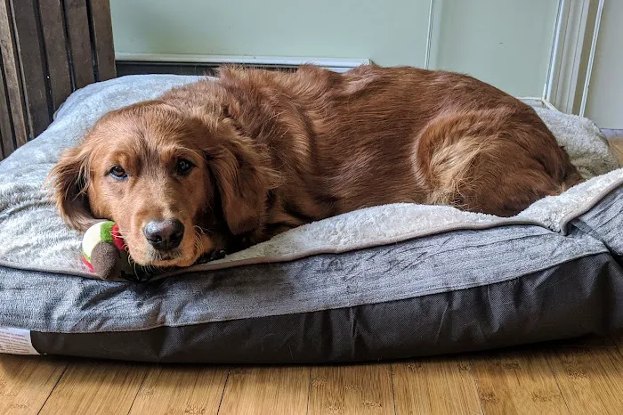 Hilltowns Veterinary Clinic Picture 1