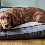 Hilltowns Veterinary Clinic