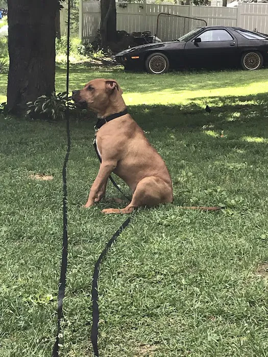 Hilltowns Veterinary Clinic Picture 8