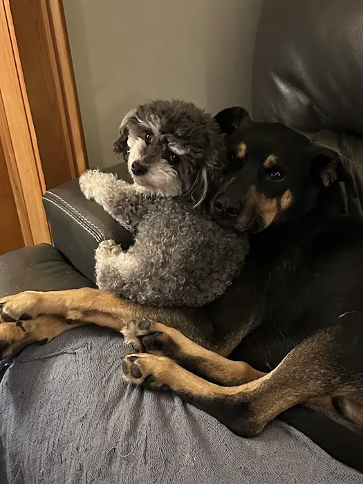 Hilltowns Veterinary Clinic Picture 4