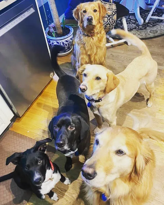 Hilltowns Veterinary Clinic Picture 6