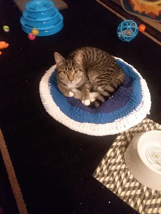 Hilltowns Veterinary Clinic Picture 9