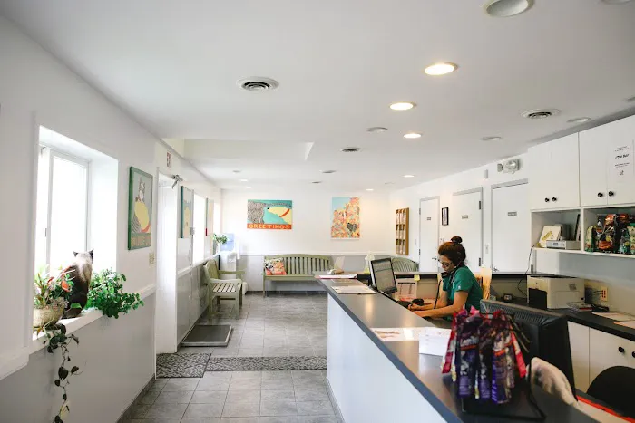 Wood Hill Veterinary Clinic Picture 6