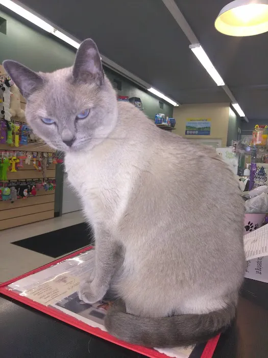 Debbie's Pet Boutique Picture 4