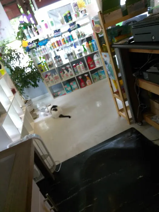 Debbie's Pet Boutique Picture 10