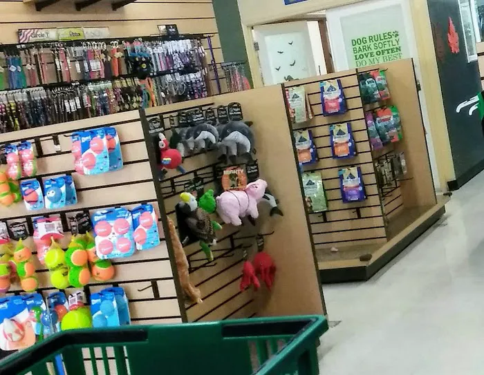 Debbie's Pet Boutique Picture 7