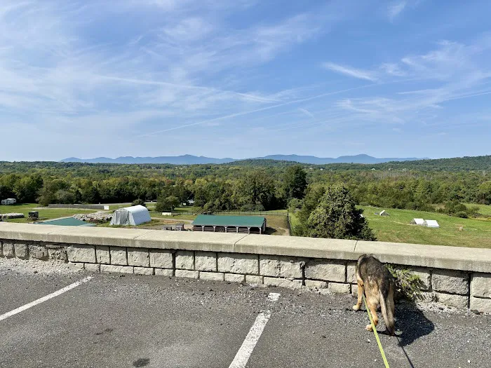 Mountainview Animal Hospital Picture 1