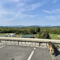 Mountainview Animal Hospital ico