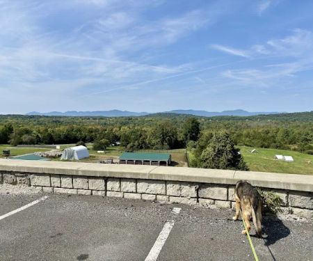 Mountainview Animal Hospital