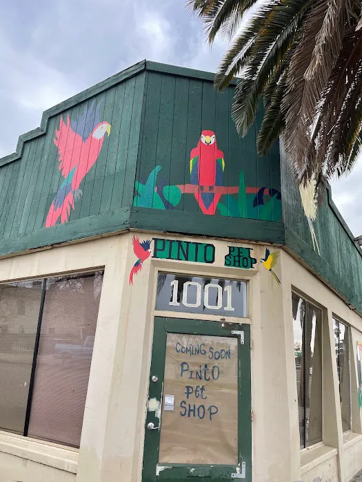 pintos pet shop Picture 1