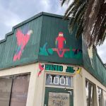 pintos pet shop