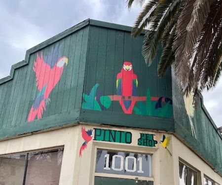 pintos pet shop