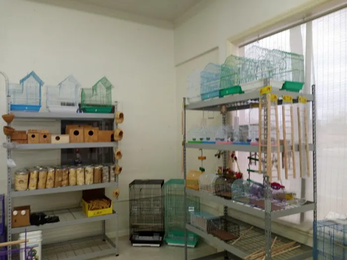 pintos pet shop Picture 2