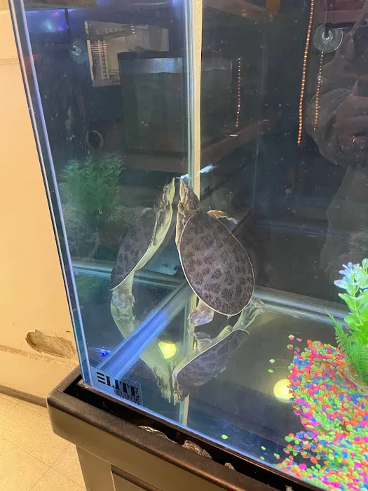 pintos pet shop Picture 4