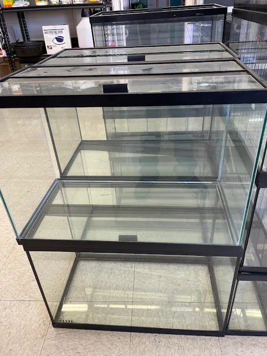 pintos pet shop Picture 6