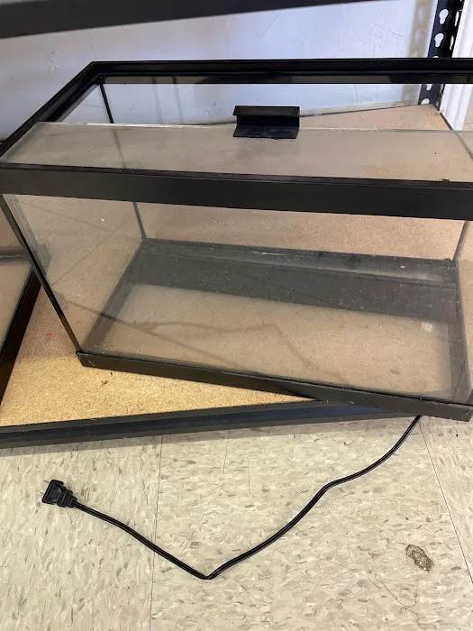 pintos pet shop Picture 10