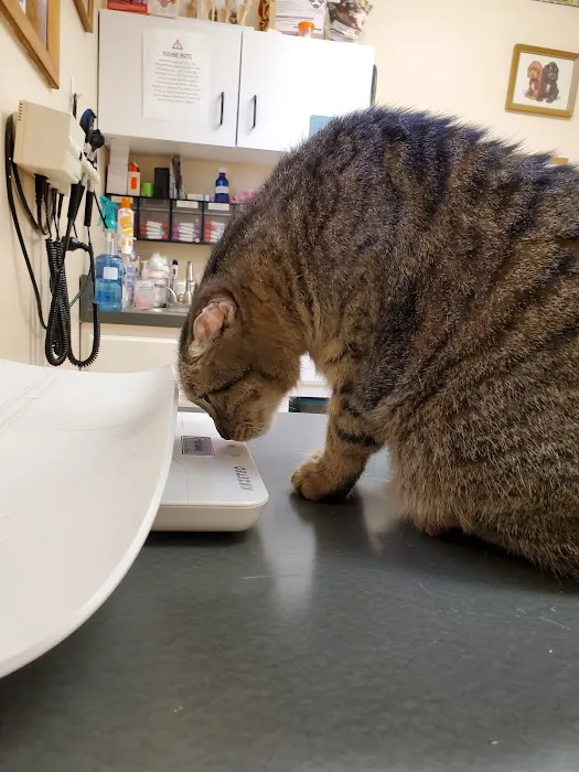 Hudson Veterinary Clinic Picture 1