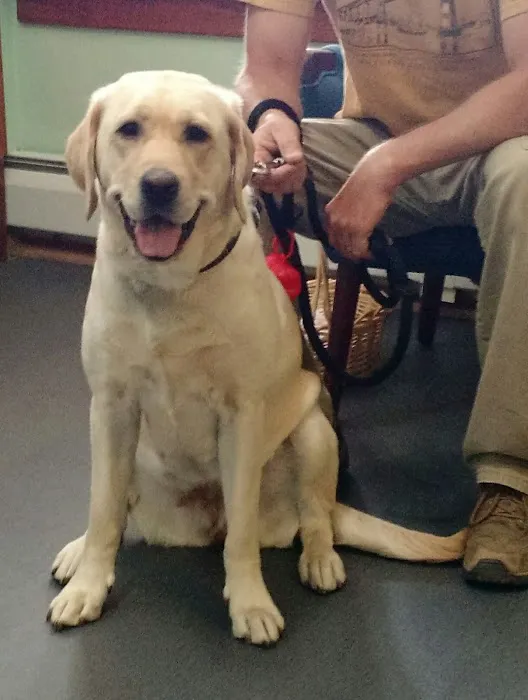 Better Lives Animal Hospital / Dr. Edward Decort Picture 10