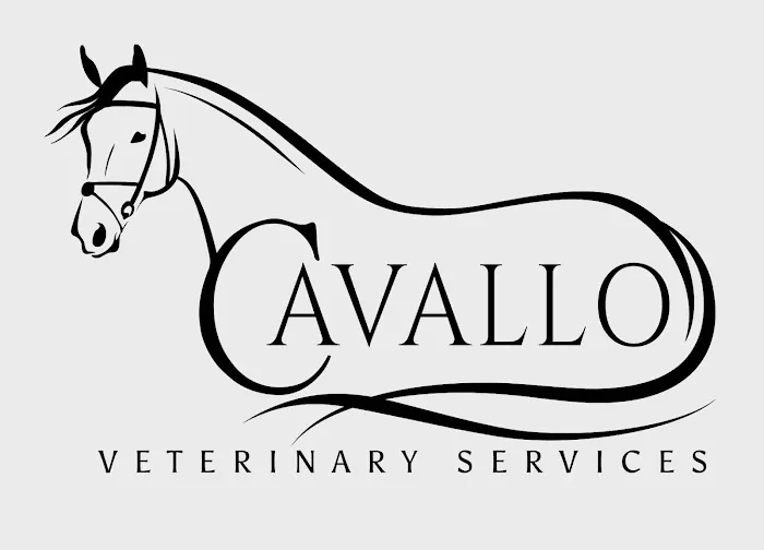 Cavallo Veterinary Services - Andrea Sotela, DVM Picture 2