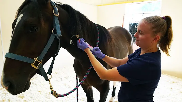 Rhinebeck Equine, LLP Picture 4