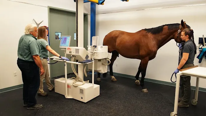 Rhinebeck Equine, LLP Picture 2