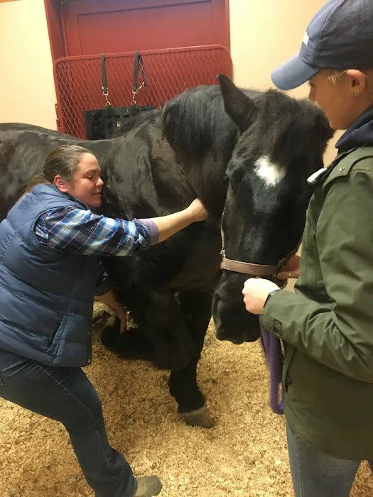 Rhinebeck Equine, LLP Picture 7