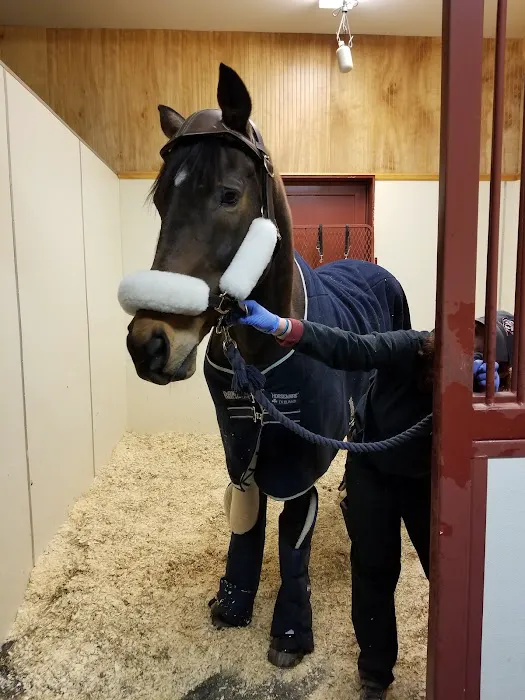 Rhinebeck Equine, LLP Picture 10