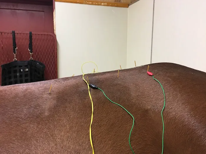 Rhinebeck Equine, LLP Picture 9