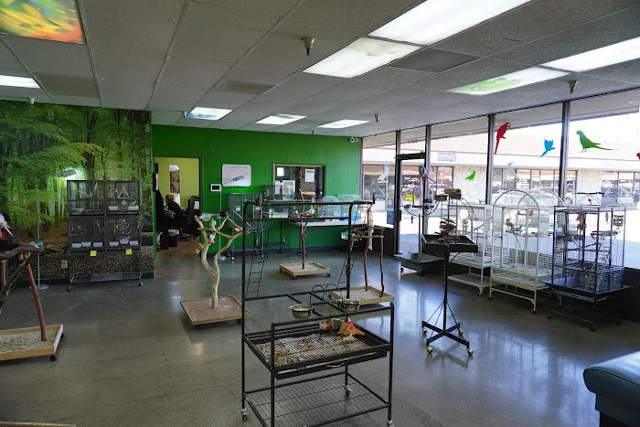 Parrotopia Picture 2