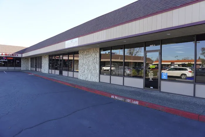 Parrotopia Picture 3