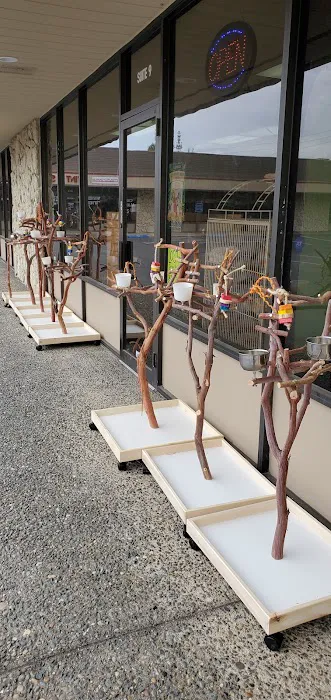 Parrotopia Picture 4