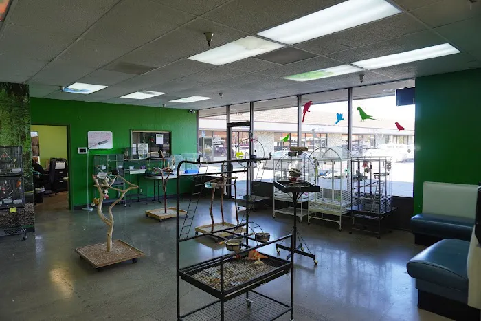 Parrotopia Picture 6