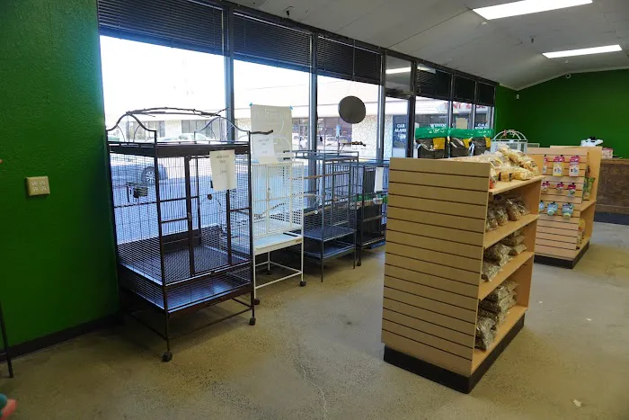 Parrotopia Picture 7