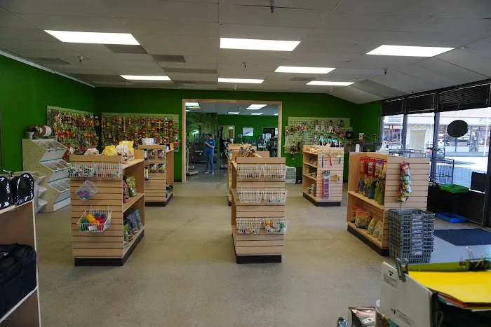 Parrotopia Picture 10