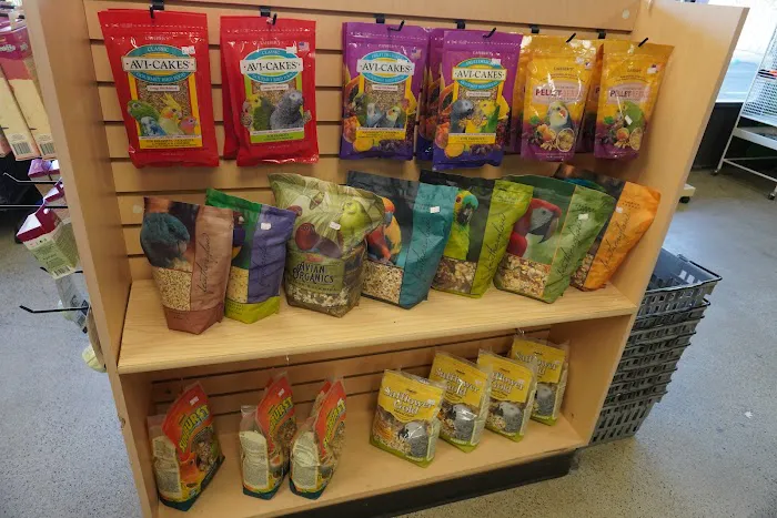 Parrotopia Picture 8