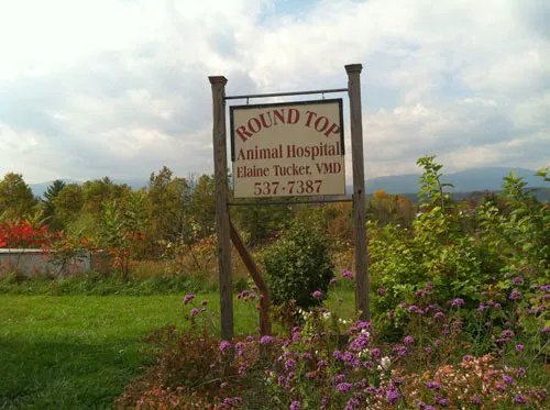 Roundtop Animal Hospital Picture 2