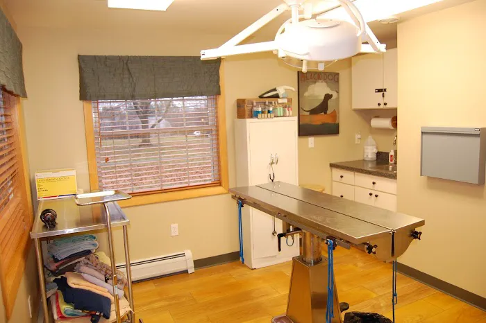 Hollis Veterinary Hospital Picture 3