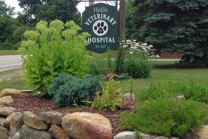 Hollis Veterinary Hospital Picture 1
