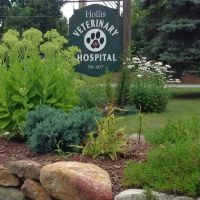 Hollis Veterinary Hospital ico