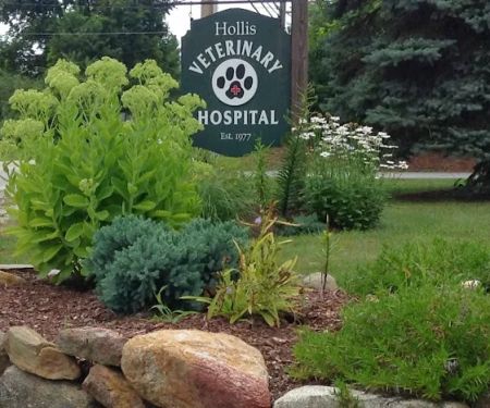 Hollis Veterinary Hospital