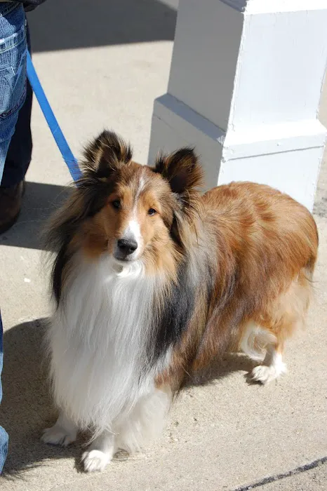 Hollis Veterinary Hospital Picture 7