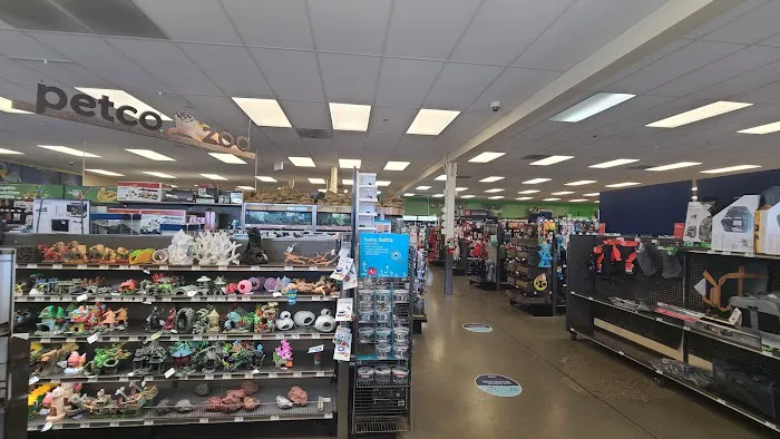Petco Picture 7