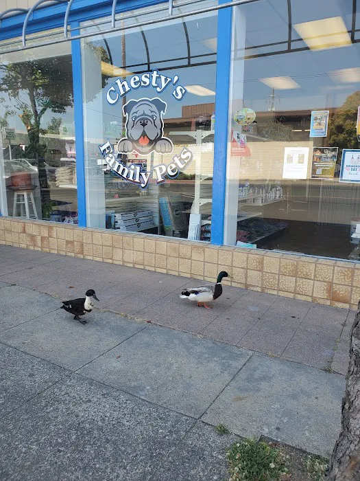 Chesty's Family Pets Picture 3