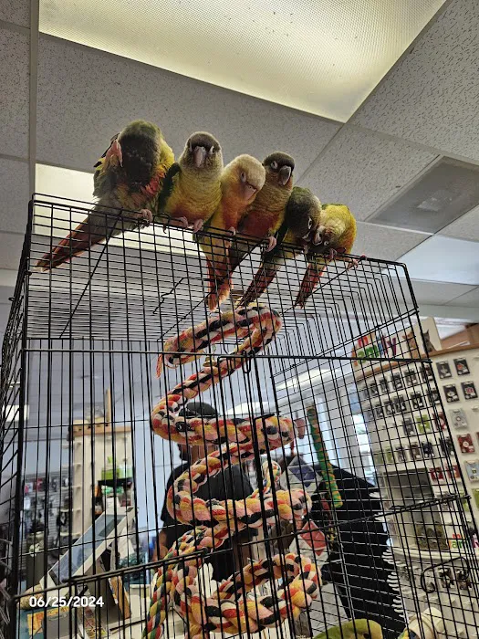 Chesty's Family Pets Picture 1