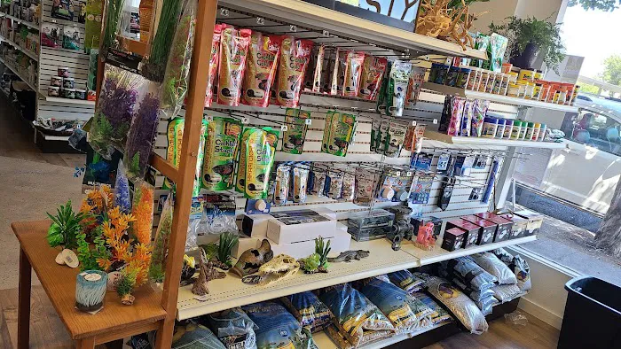 Chesty's Family Pets Picture 2