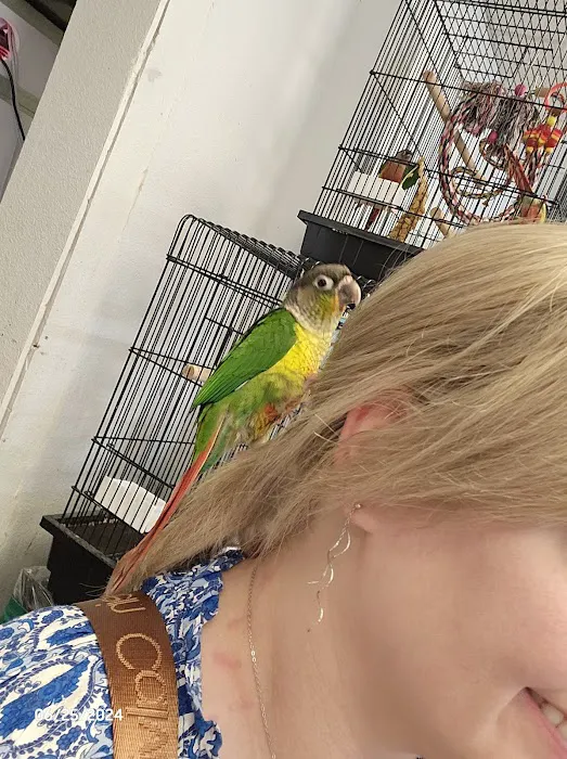 Chesty's Family Pets Picture 6